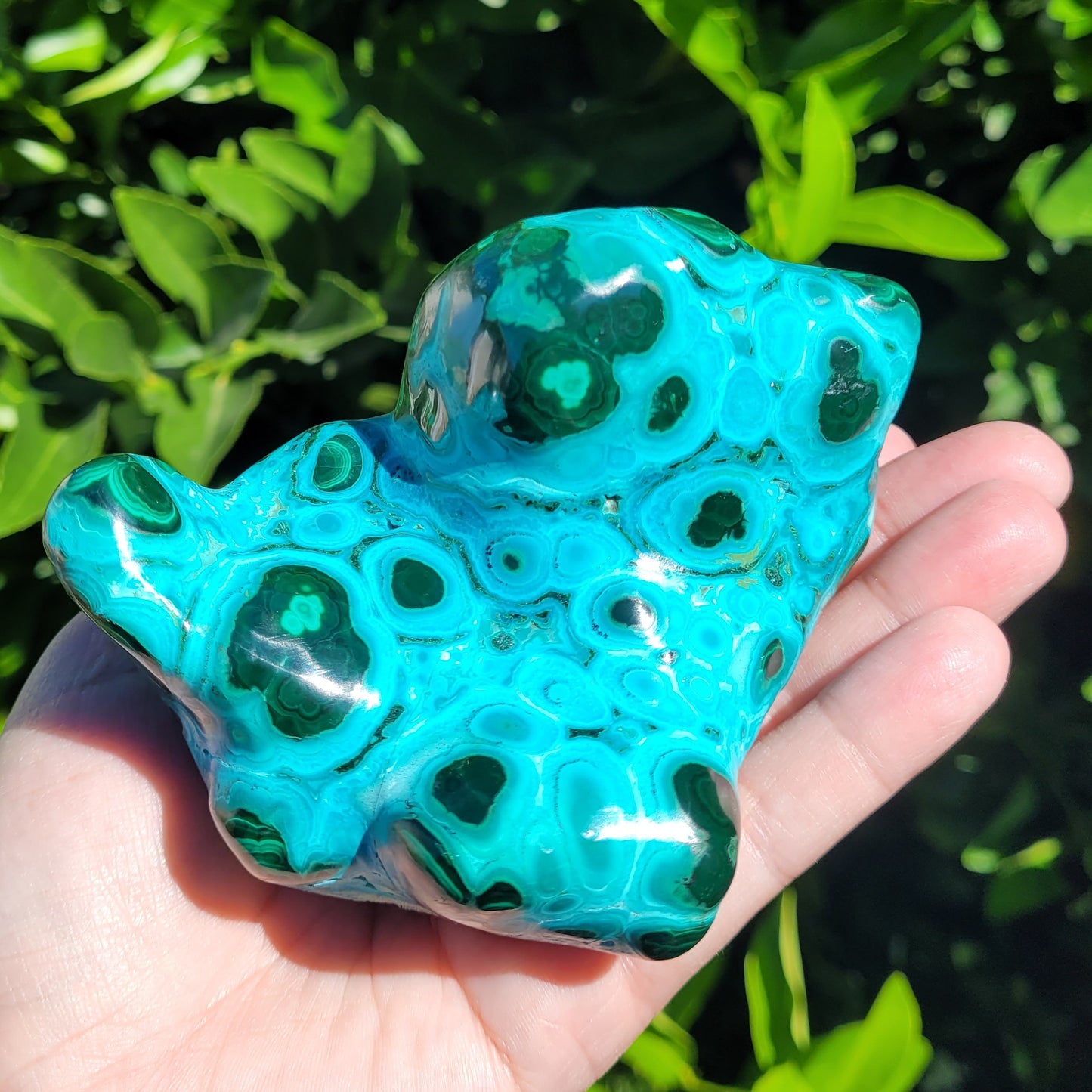 Chrysocolla and Malachite Crystal Specimen, Freeform Polished and Raw, 458g, 4.4"