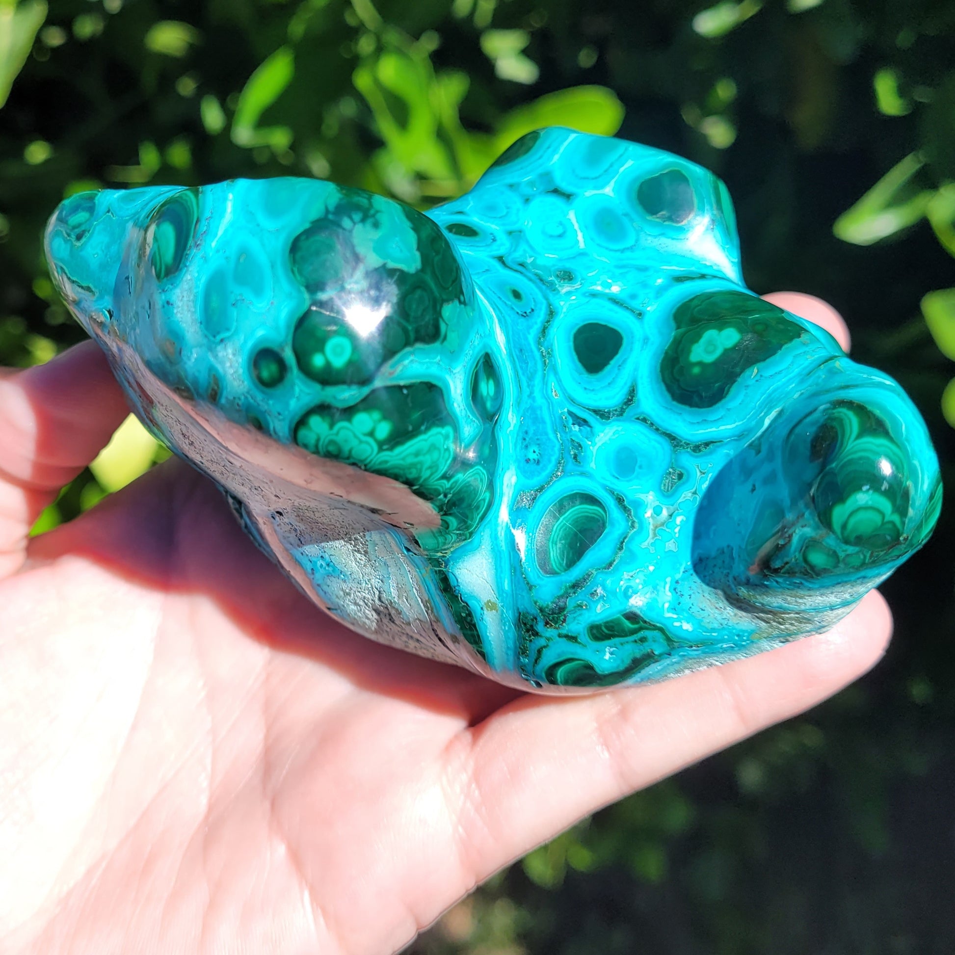 Chrysocolla with Malachite Freeform Polished and Raw Specimen