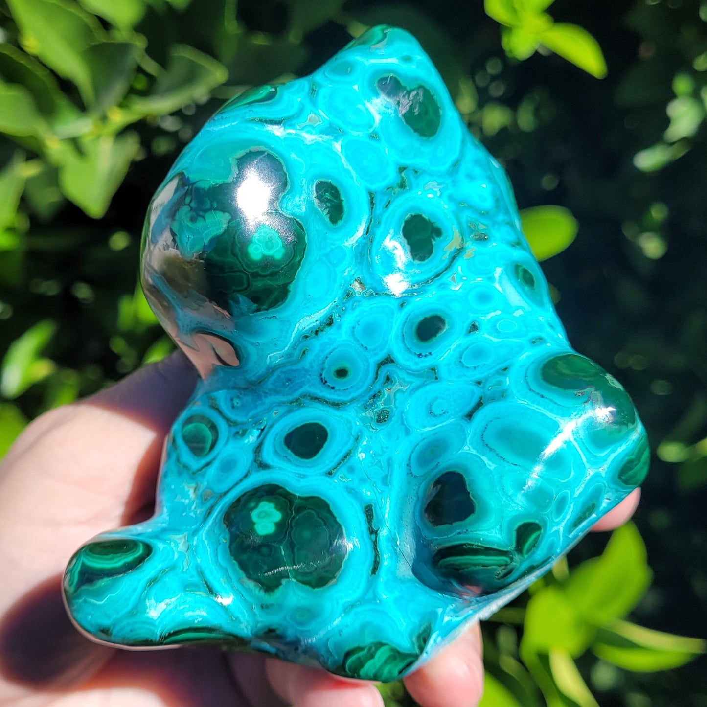 Chrysocolla and Malachite Crystal Specimen, Freeform Polished and Raw, 458g, 4.4"