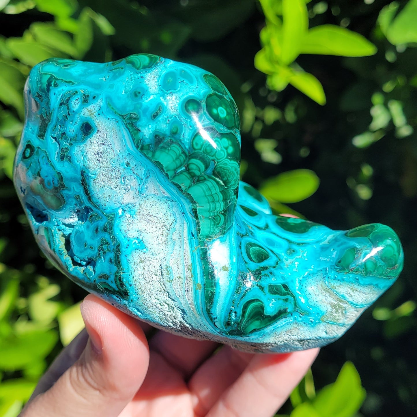 Chrysocolla and Malachite Crystal Specimen, Freeform Polished and Raw, 458g, 4.4"