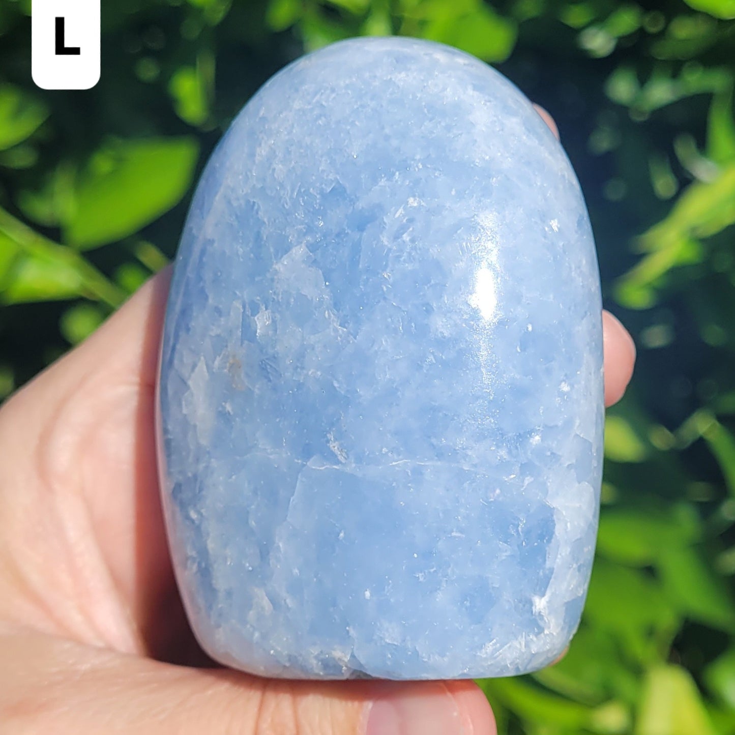 Blue Calcite Crystal Freestanding Freeforms to Choose From