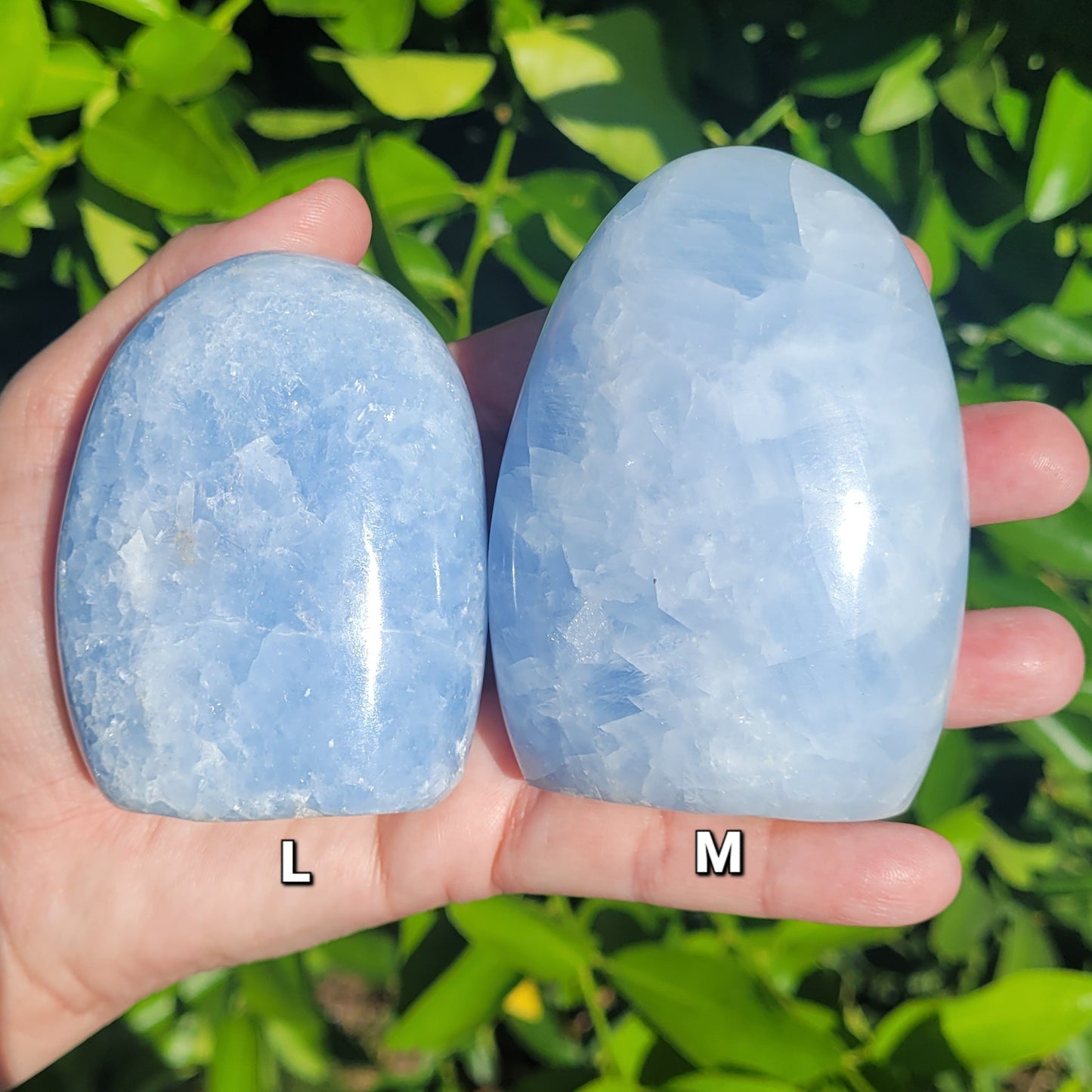 Blue Calcite Crystal Freeforms