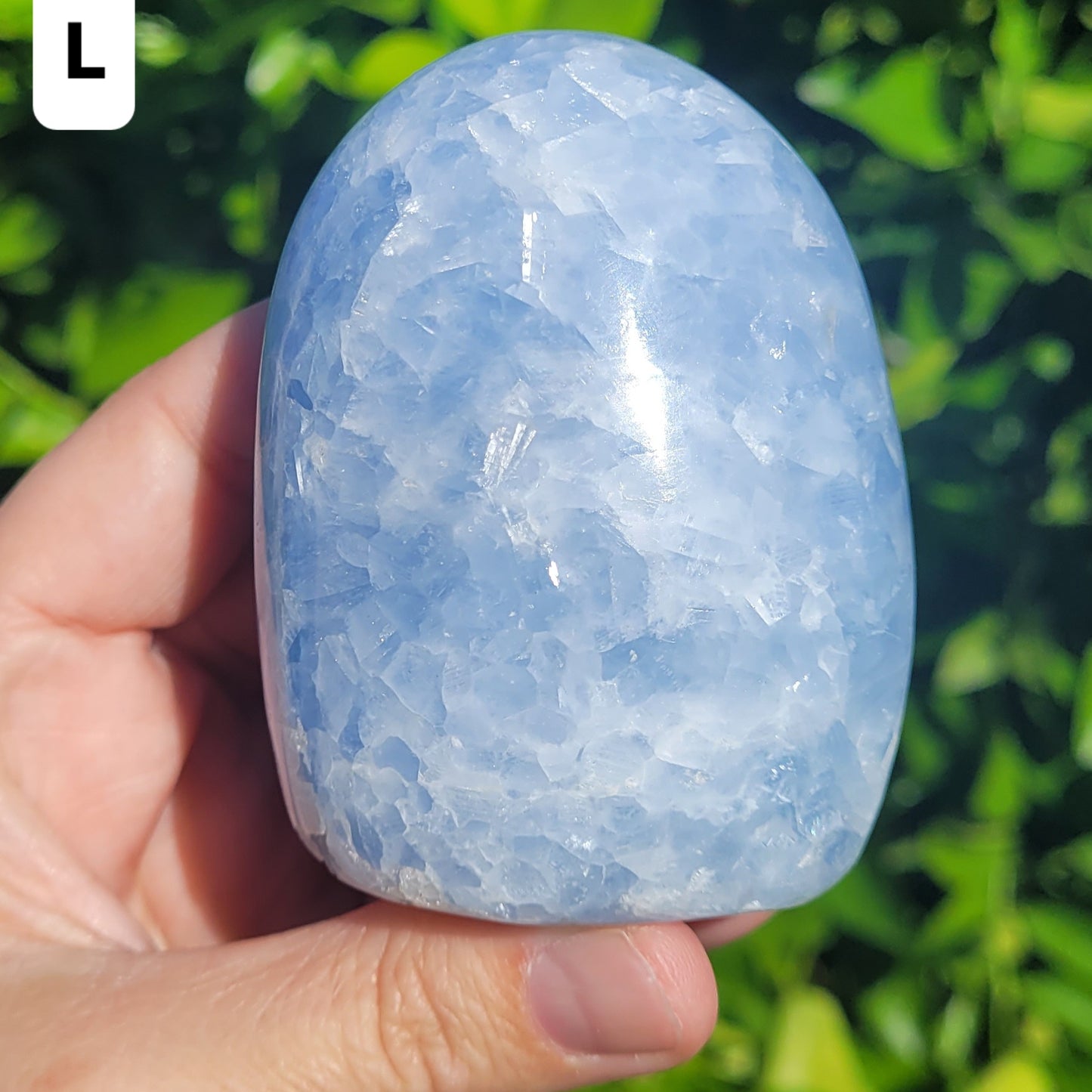 Blue Calcite Freeform