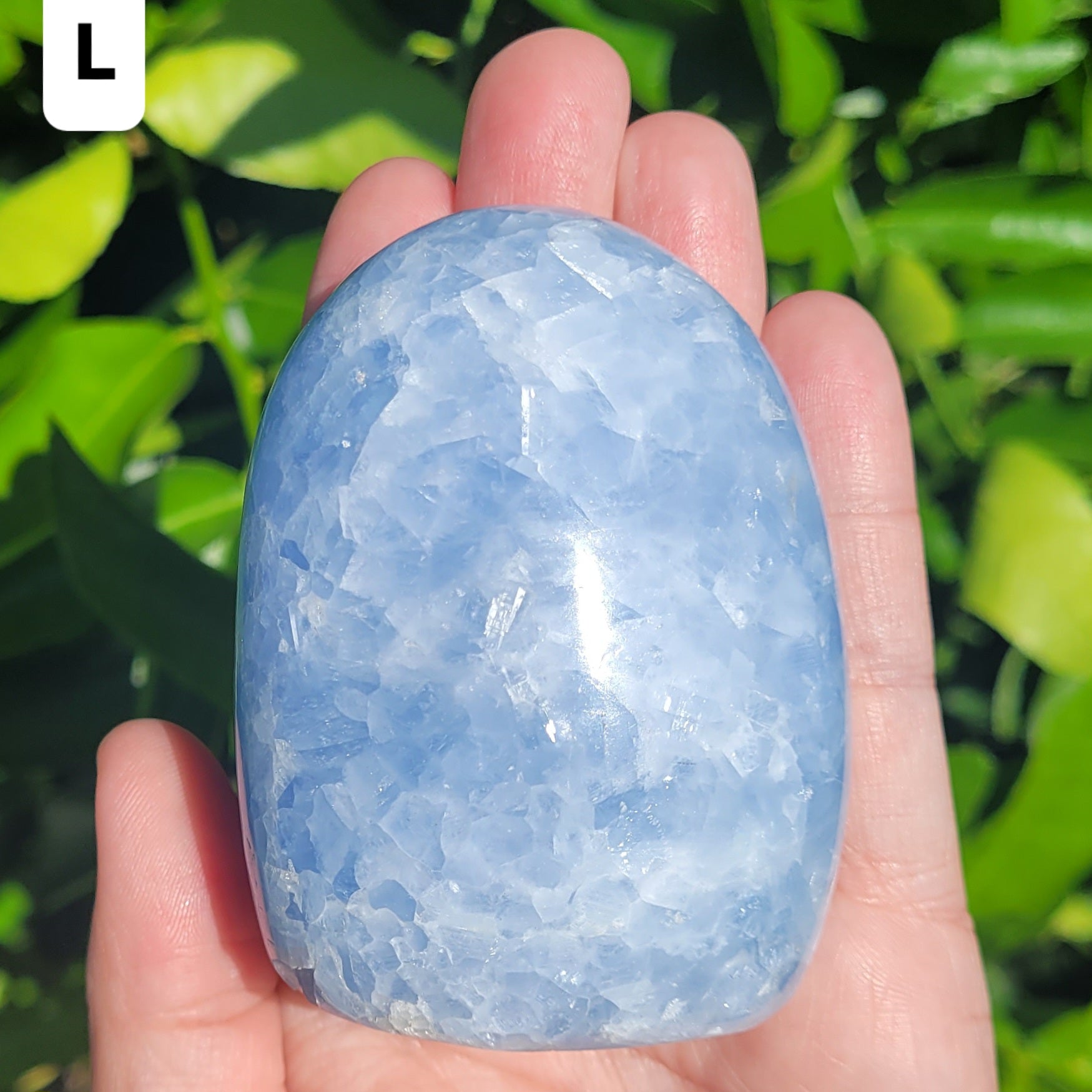 Blue Calcite Freeform