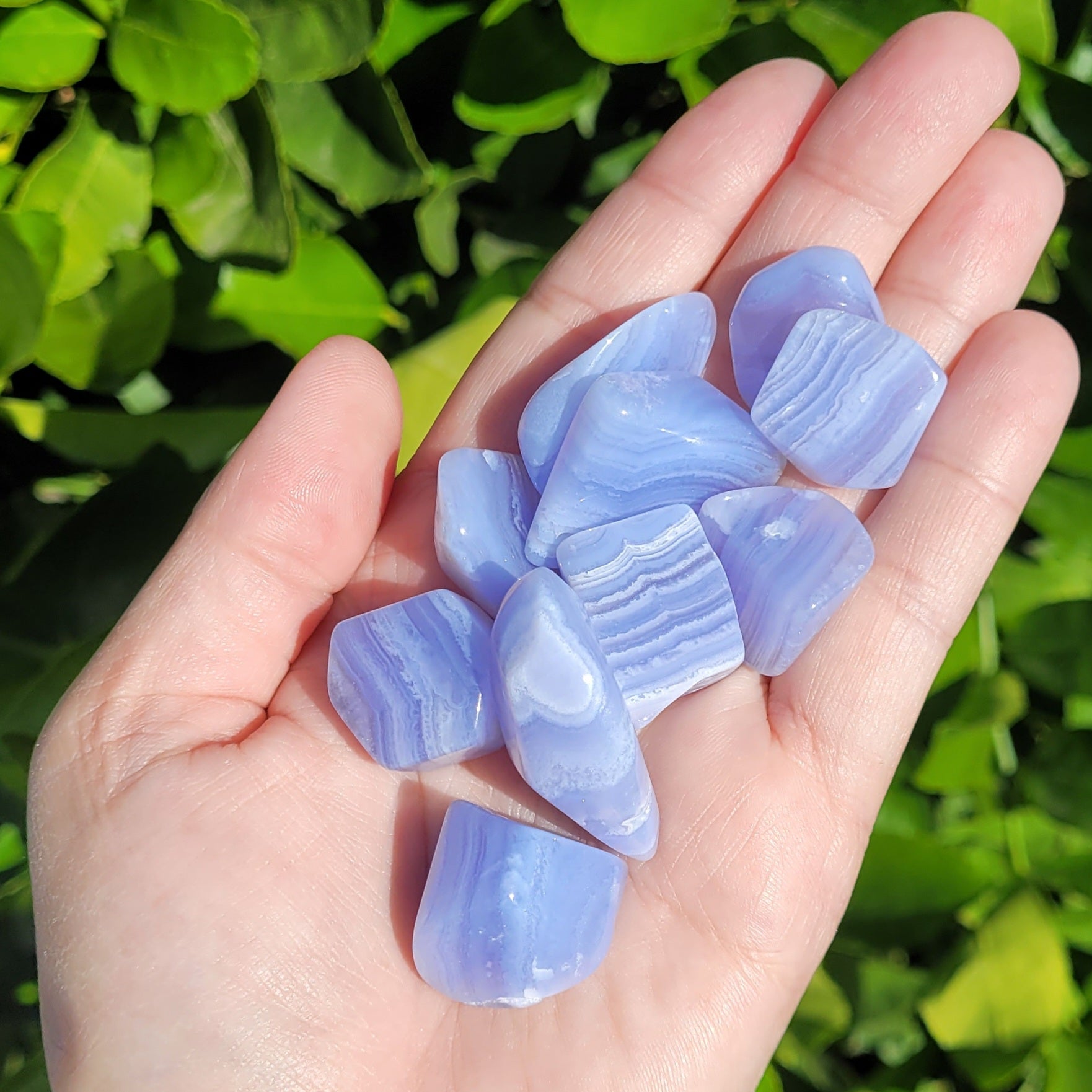 Blue Lace Agate Crystal Tumble, 1" to 1.5" 