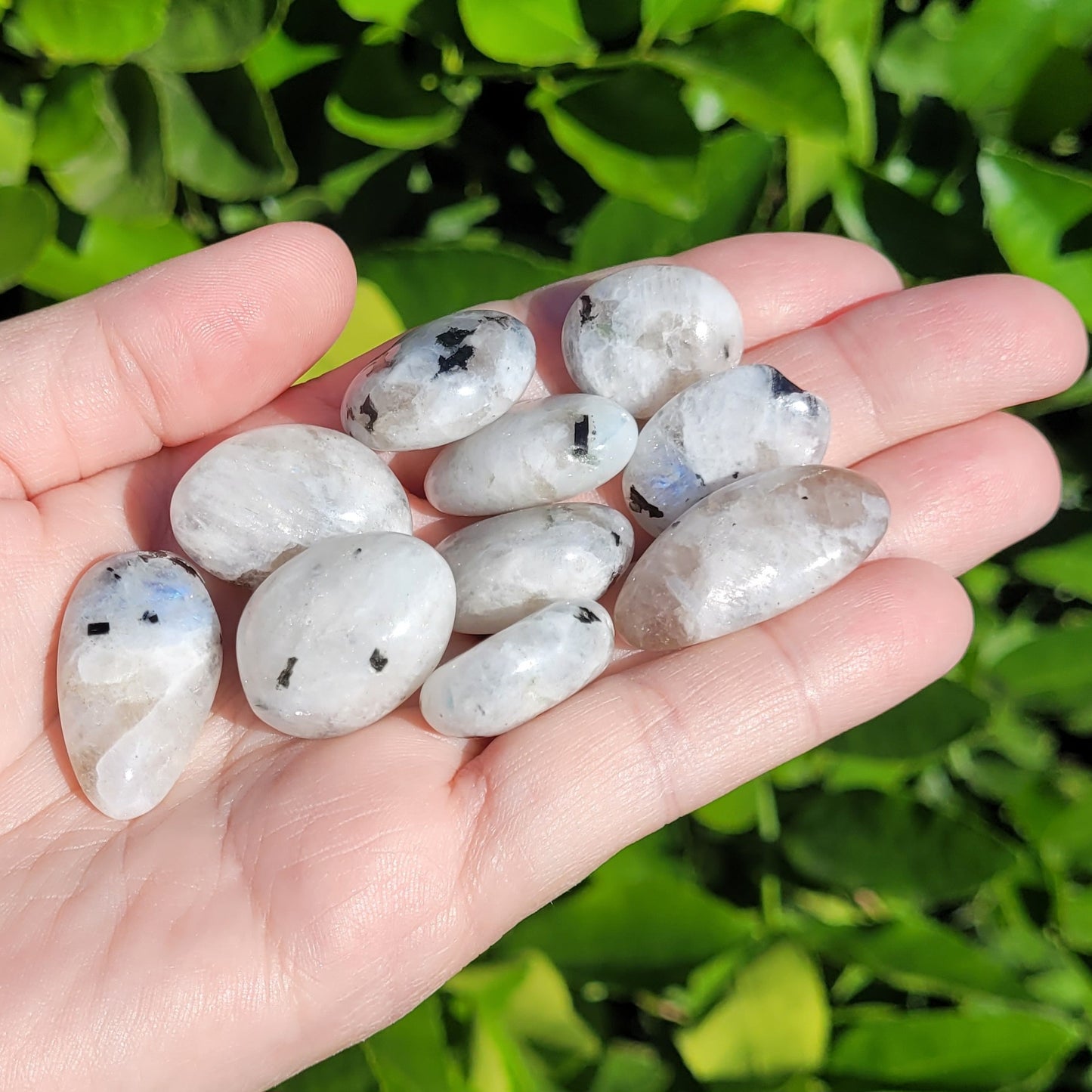 White and Black Moonstone with Blue Flash Crystal Tumble