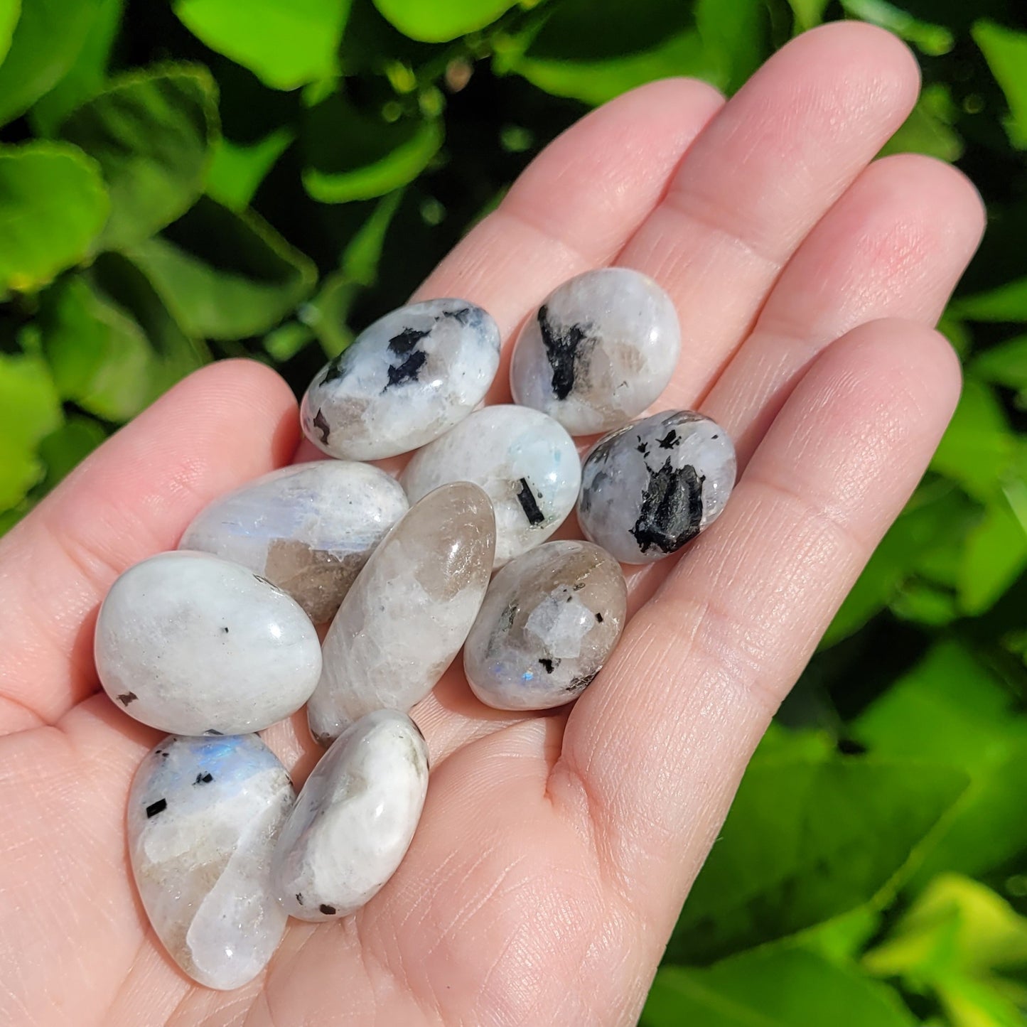 White and Black Moonstone with Blue Flash Crystal Tumble