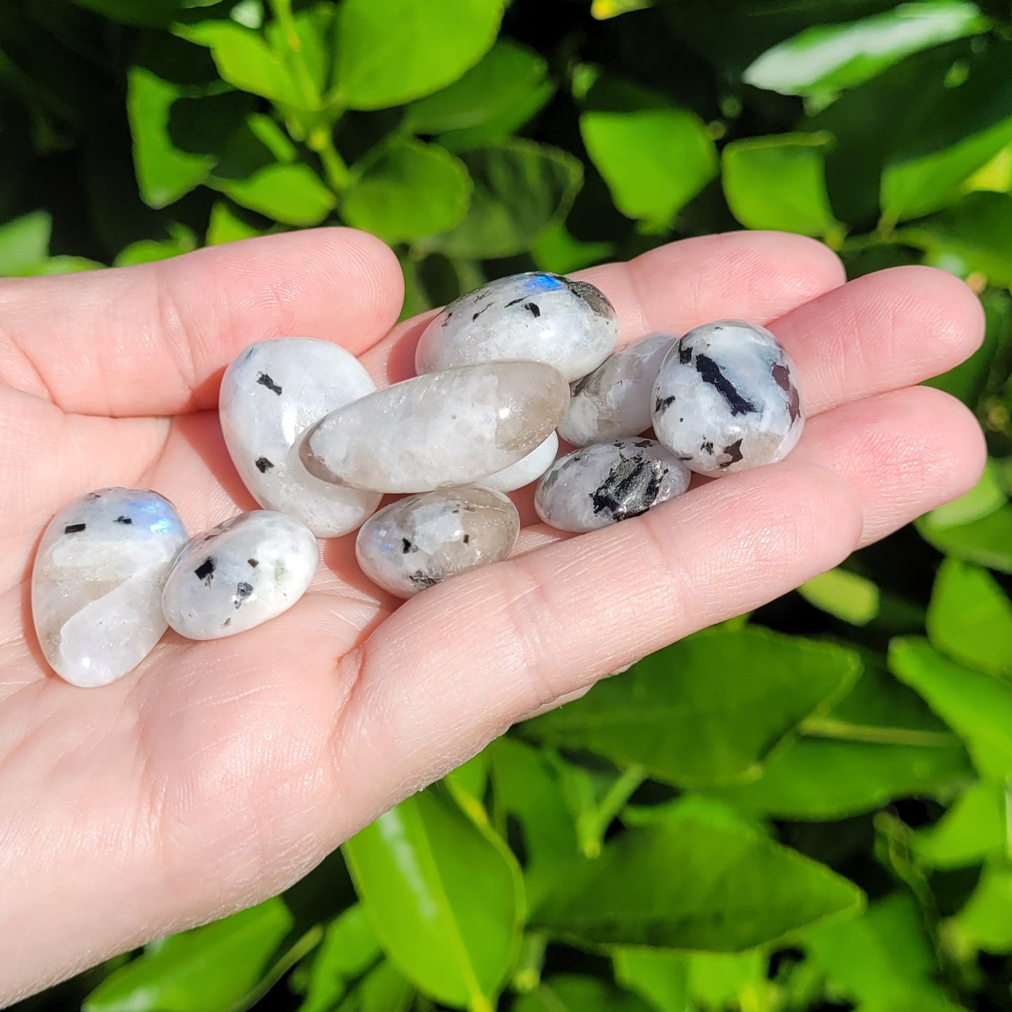 White and Black Moonstone with Blue Flash Crystal Tumble