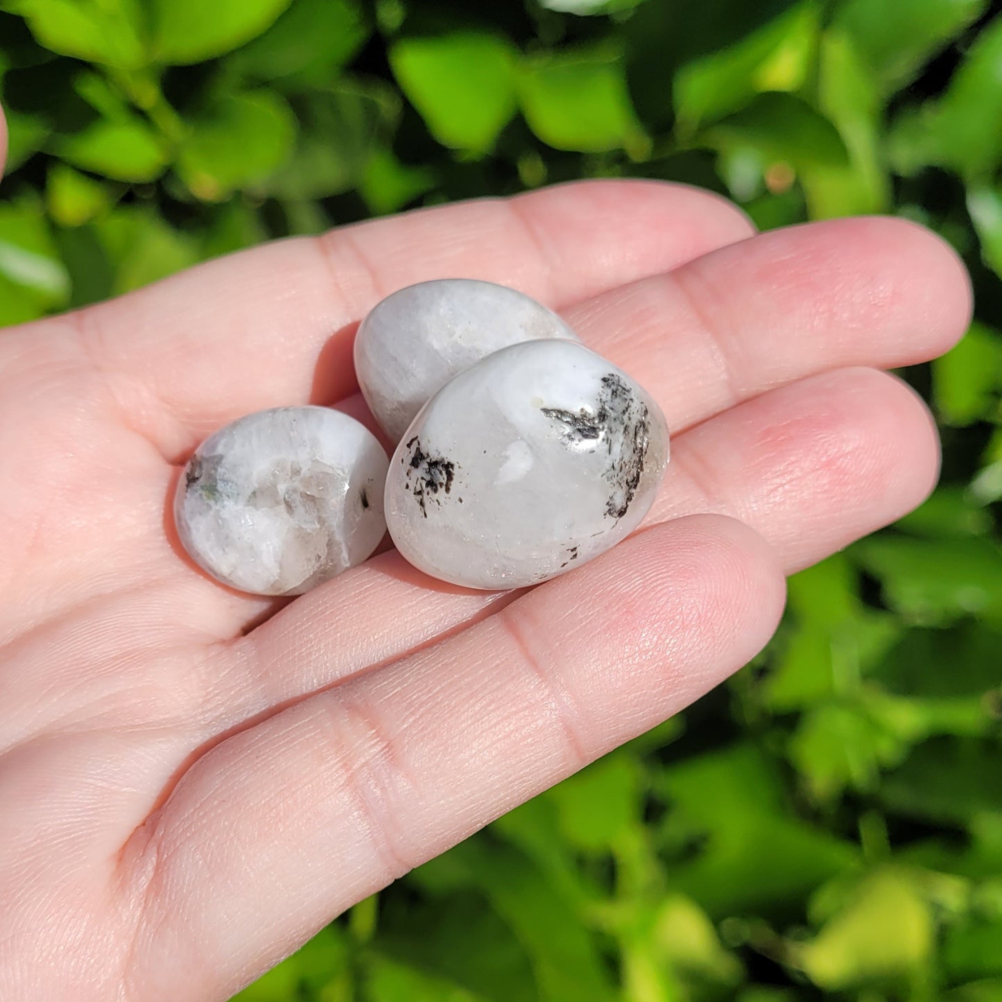 White and Black Moonstone with Blue Flash Crystal Tumble