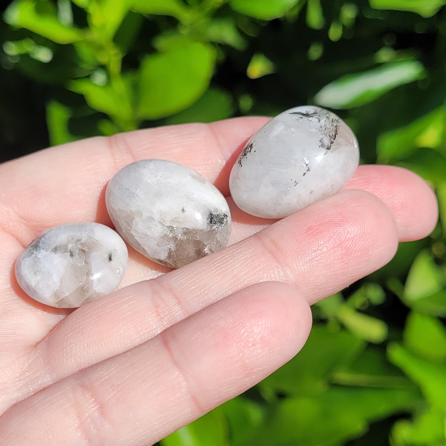 White and Black Moonstone with Blue Flash Crystal Tumble