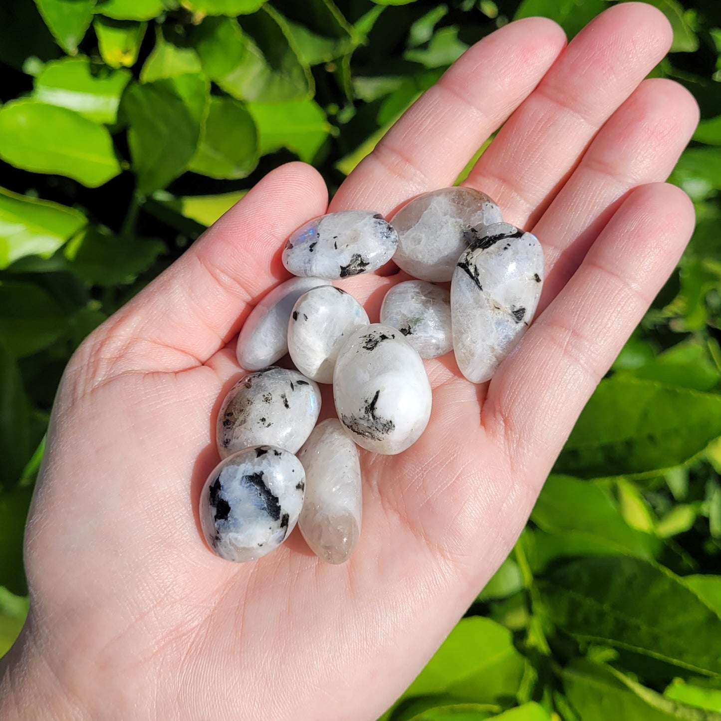 White and Black Moonstone with Blue Flash Crystal Tumble