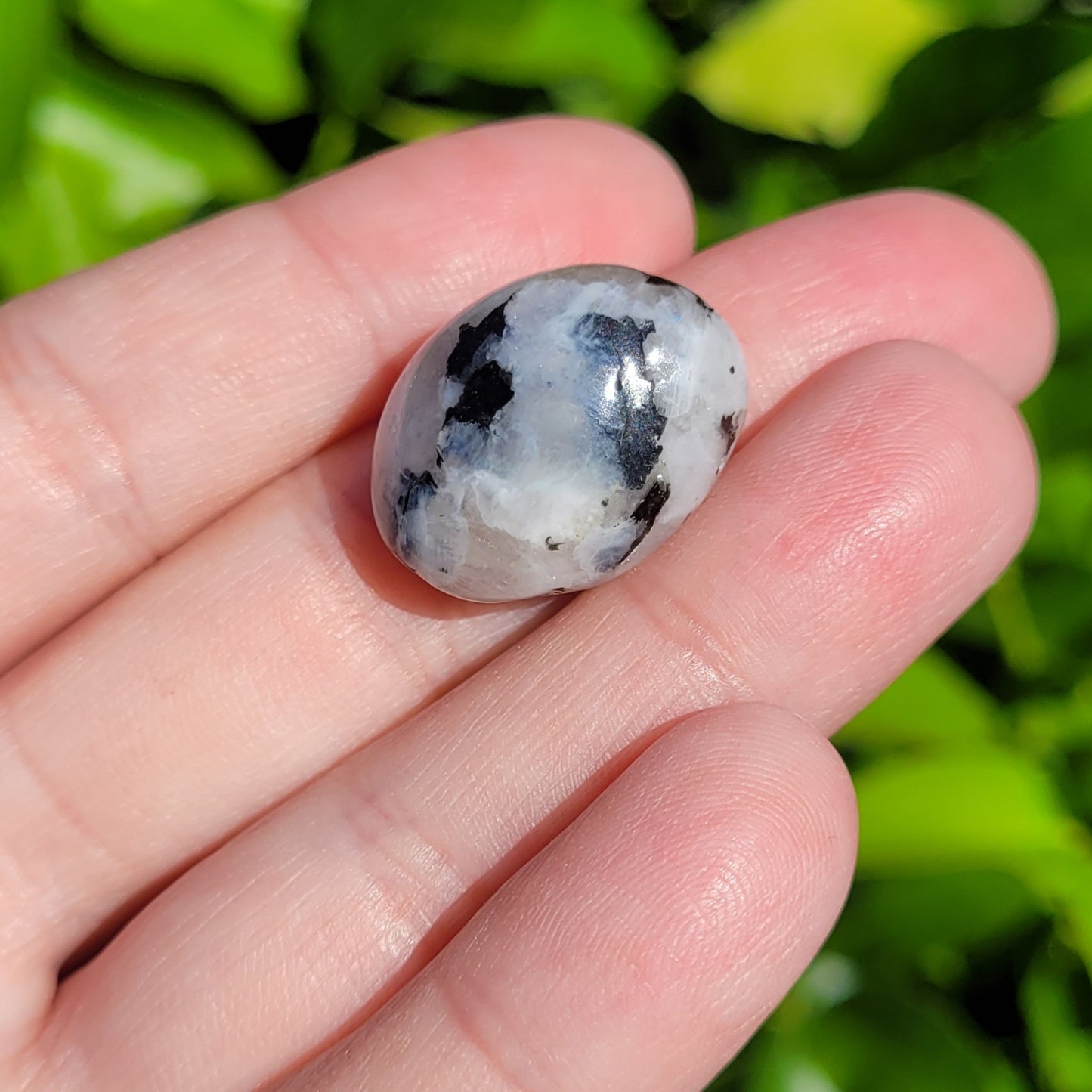 White and Black Moonstone with Blue Flash Crystal Tumble