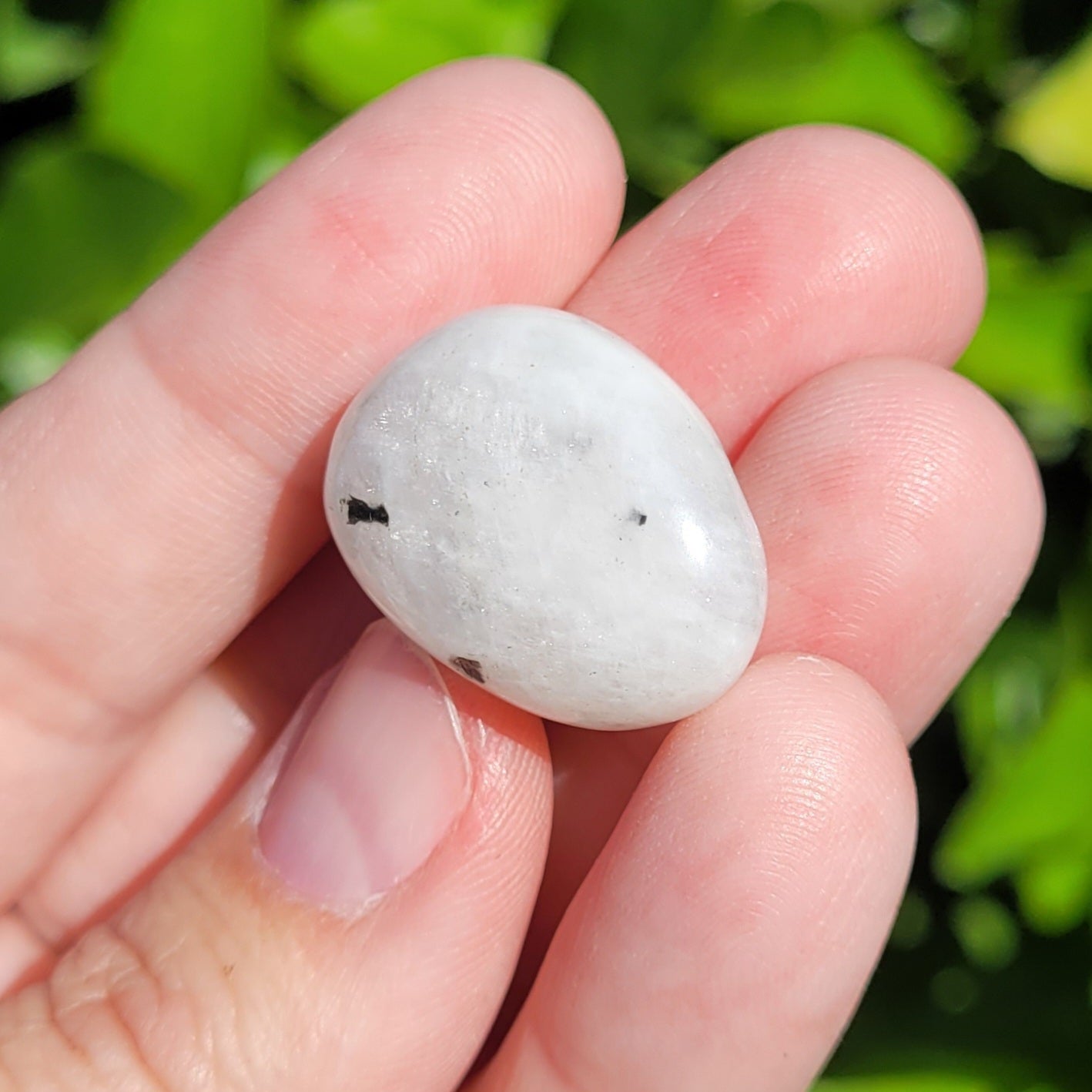 White and Black Moonstone with Blue Flash Crystal Tumble