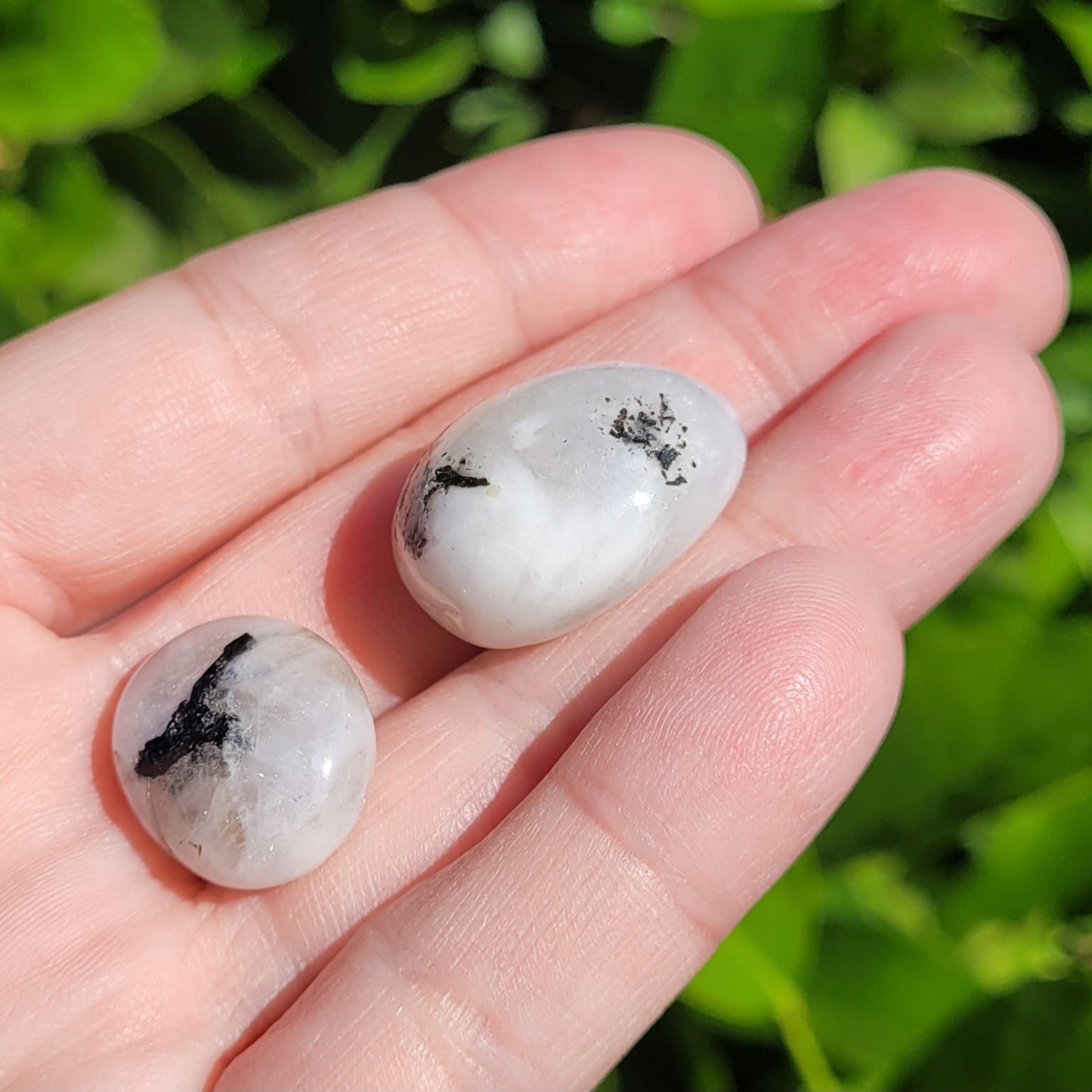 White and Black Moonstone with Blue Flash Crystal Tumble