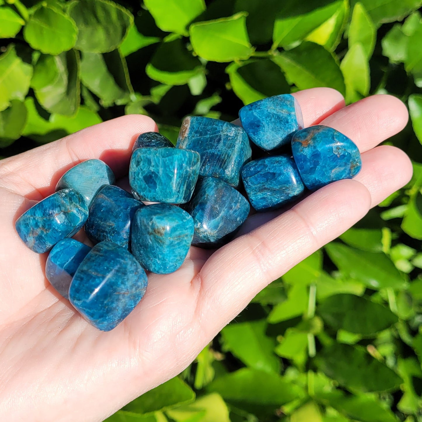 Blue Apatite Tumbled Crystal Cubes