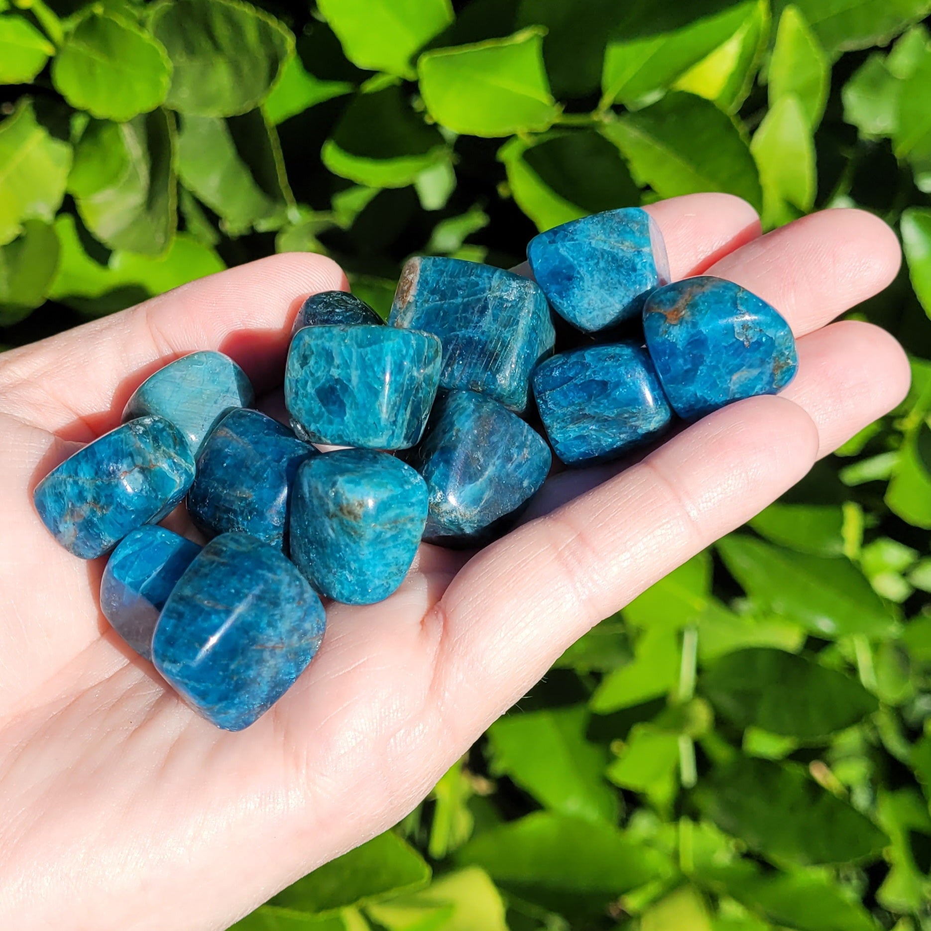 Blue Apatite Tumbled Crystal Cubes