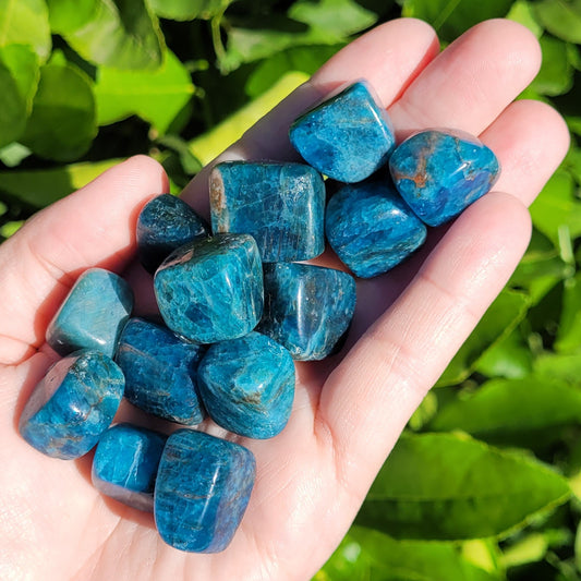 Blue Apatite Tumbled Crystal Cubes