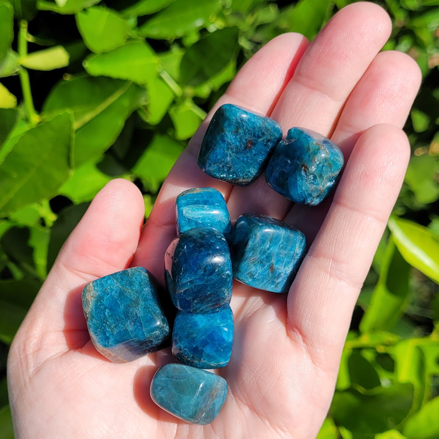 Blue Apatite Tumbled Crystal Cubes