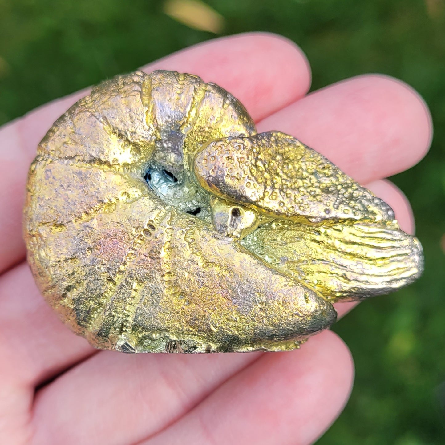 Bismuth Nautilus Sculptures in Rainbow and Single Colors, Made by The Bismuth Smith