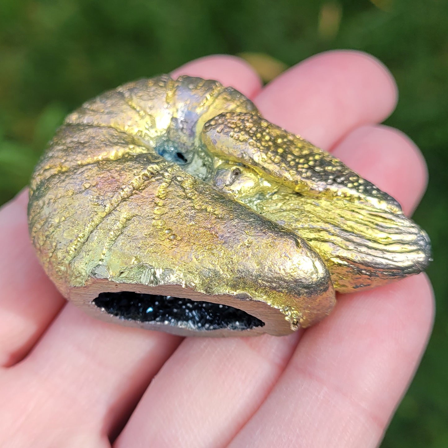 Bismuth Nautilus Sculptures in Rainbow and Single Colors, Made by The Bismuth Smith