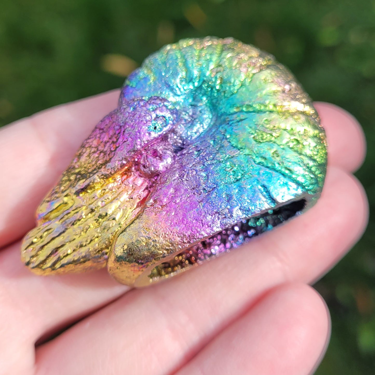 Bismuth Nautilus Sculptures in Rainbow and Single Colors, Made by The Bismuth Smith