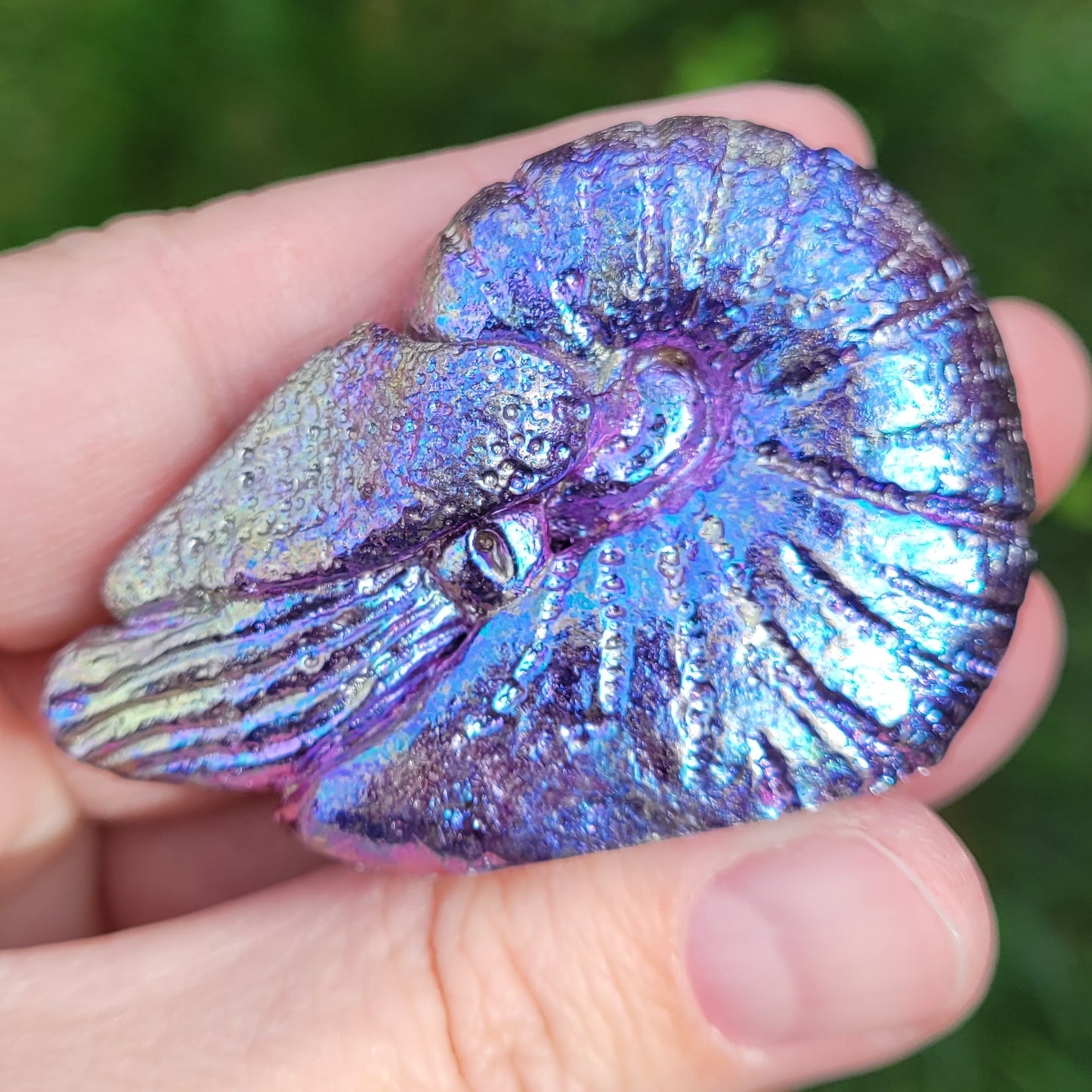 Bismuth Nautilus Sculptures in Rainbow and Single Colors, Made by The Bismuth Smith