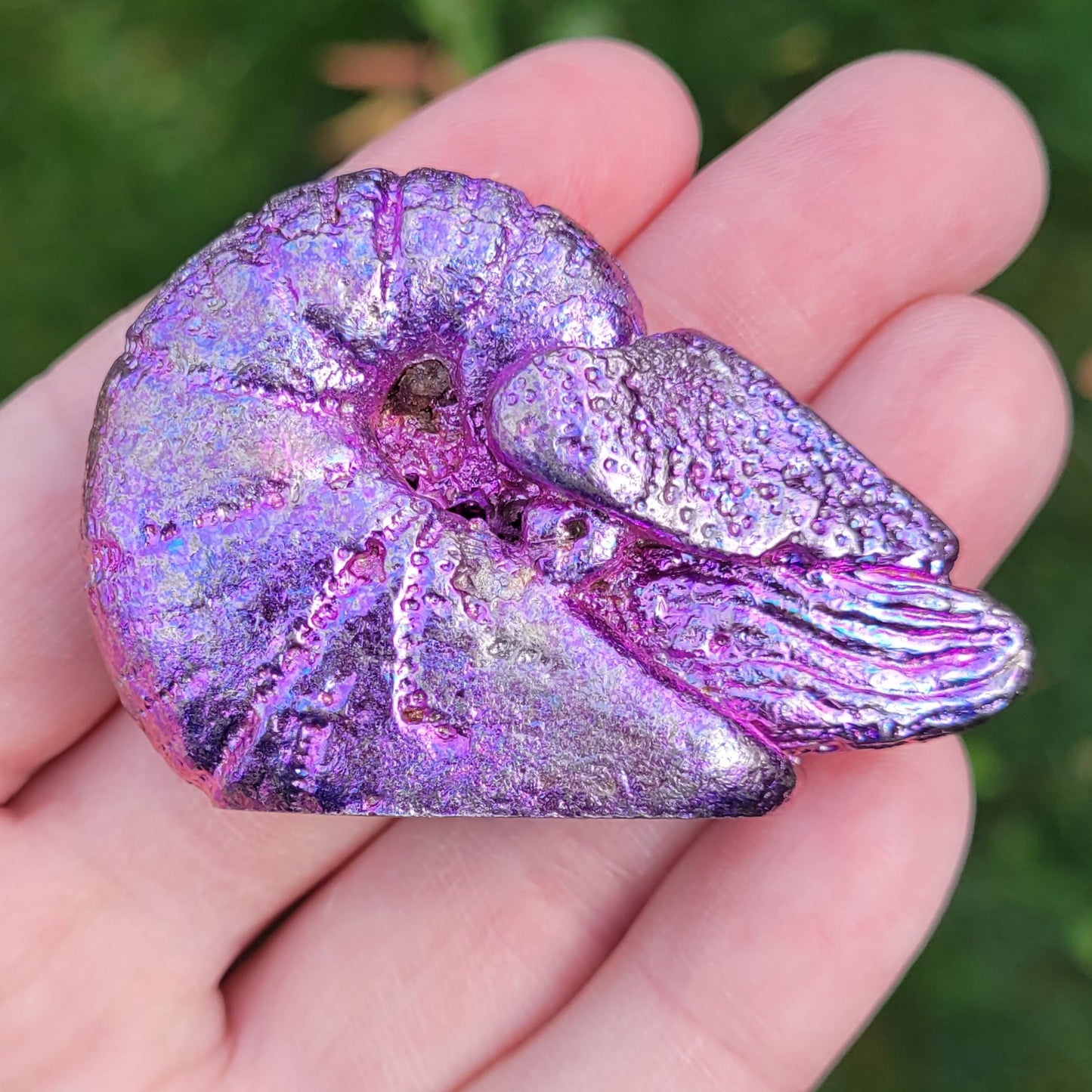 Bismuth Nautilus Sculptures in Rainbow and Single Colors, Made by The Bismuth Smith