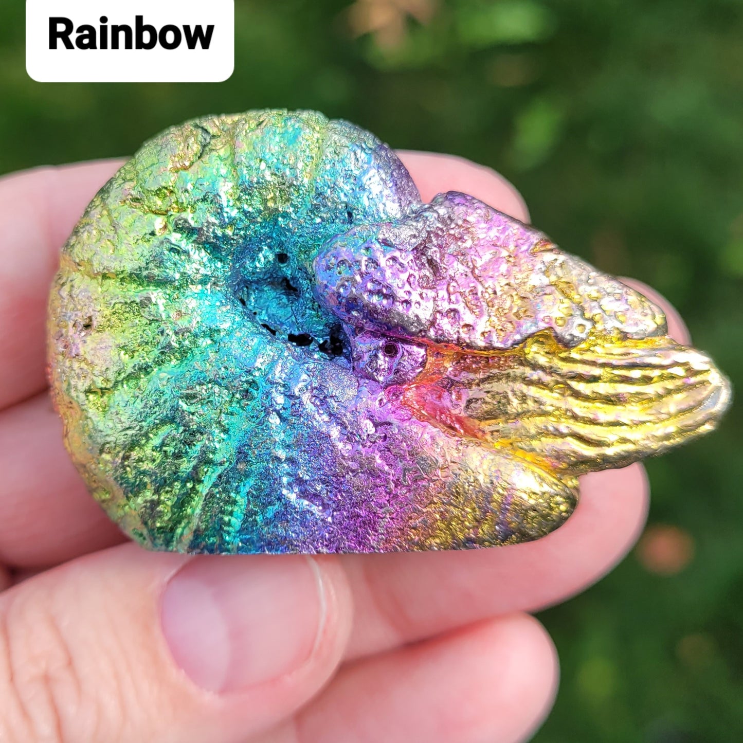 Bismuth Nautilus Sculptures in Rainbow and Single Colors, Made by The Bismuth Smith