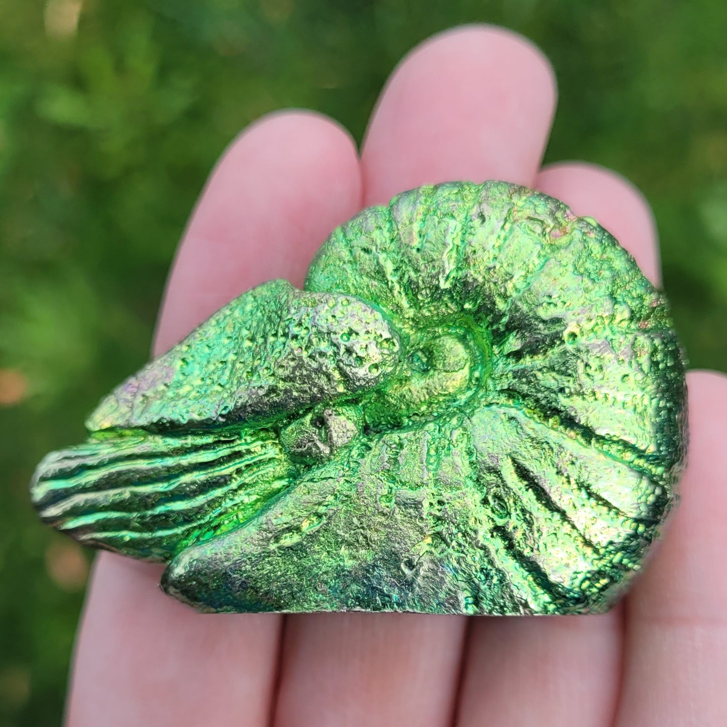 Bismuth Nautilus Sculptures in Rainbow and Single Colors, Made by The Bismuth Smith