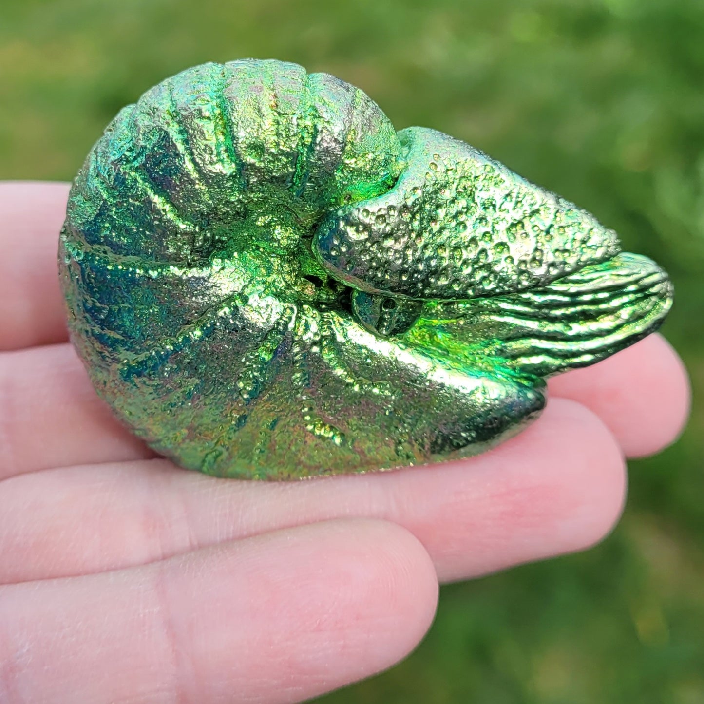 Bismuth Nautilus Sculptures in Rainbow and Single Colors, Made by The Bismuth Smith