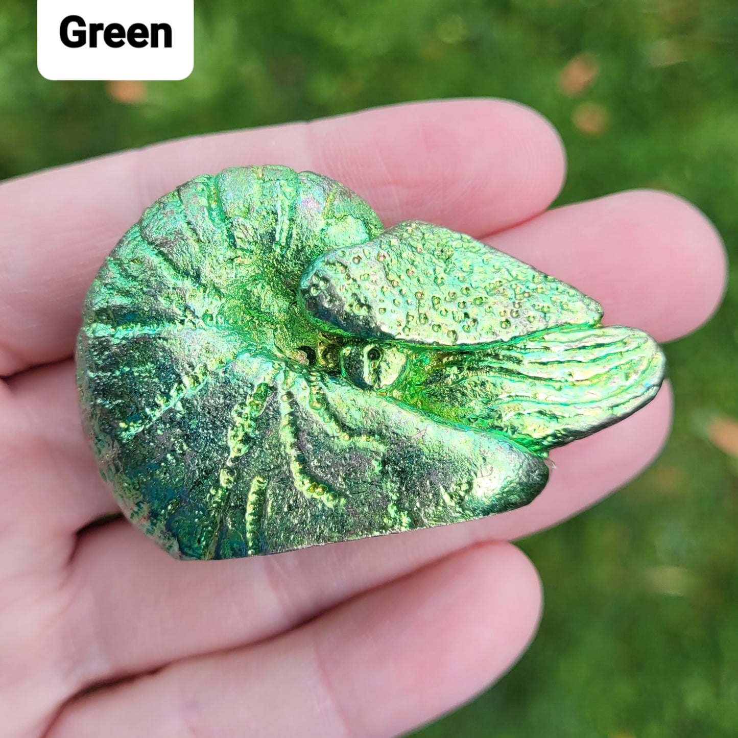 Bismuth Nautilus Sculptures in Rainbow and Single Colors, Made by The Bismuth Smith