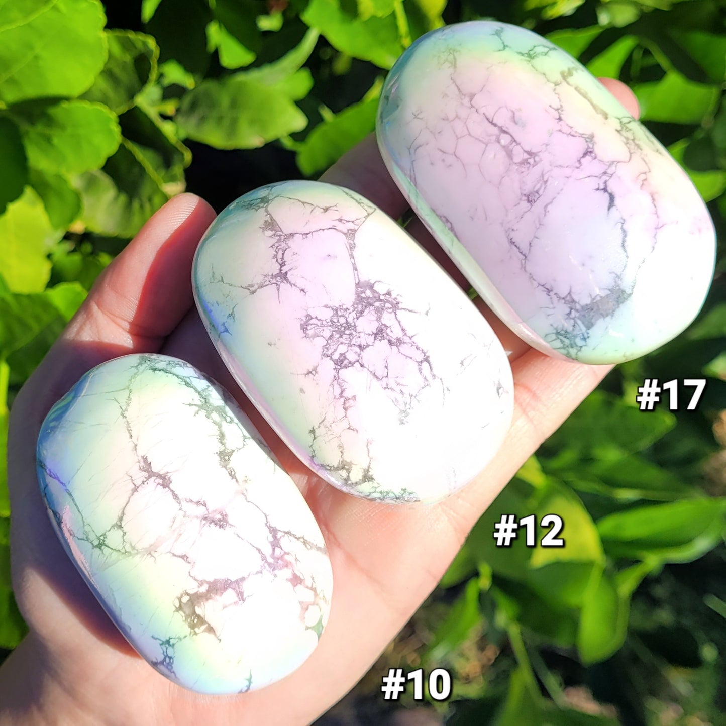 Angel Aura Howlite Palm Stones to Choose From