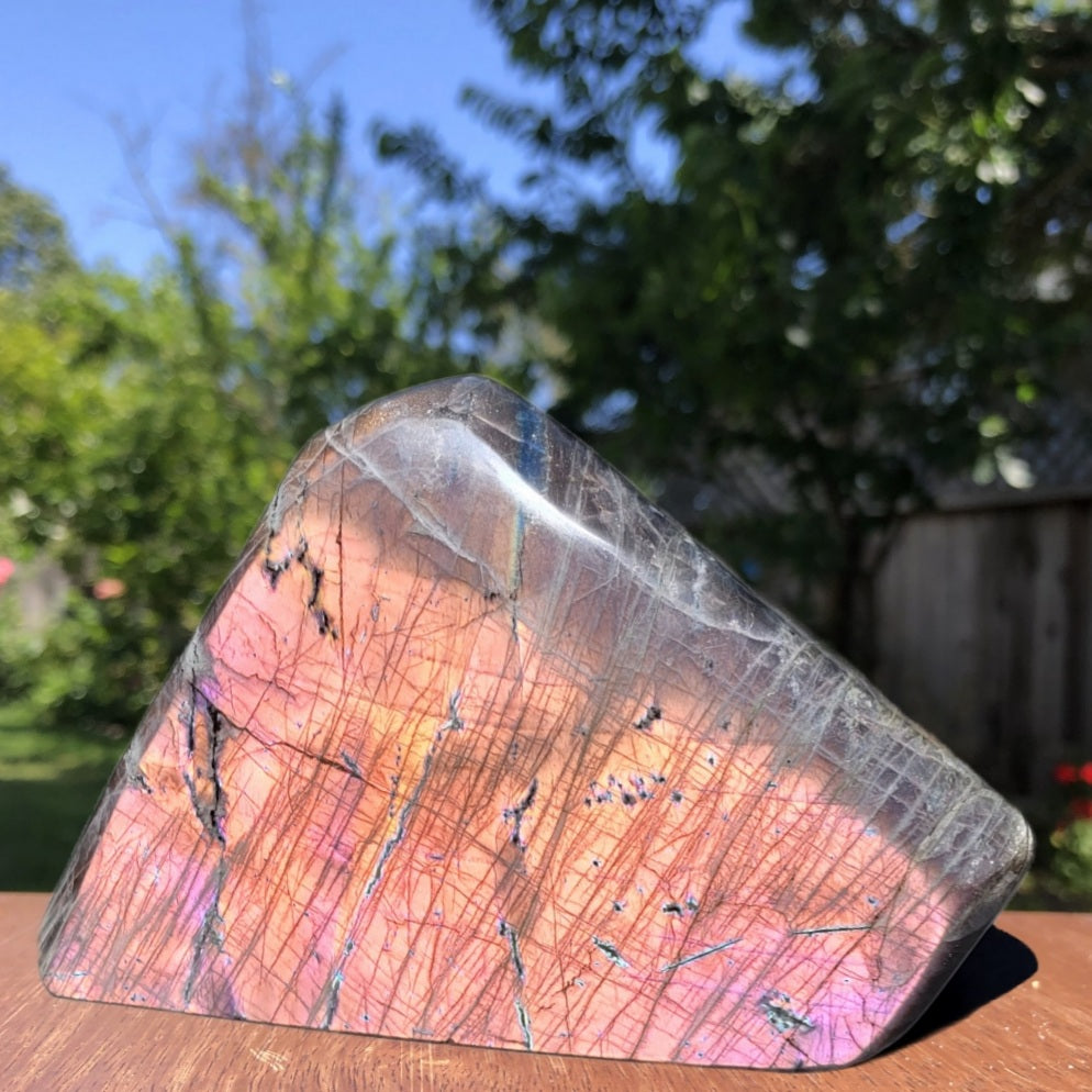 Huge Labradorite Freeform, 13.8LB With Purple and Pink Sunset Flash