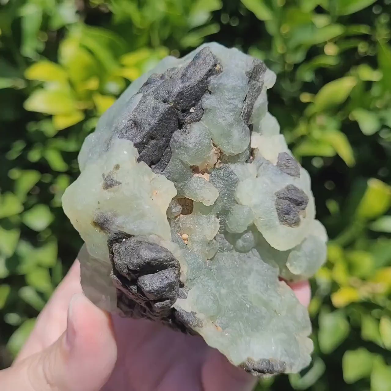 Prehnite and Epidote Specimen