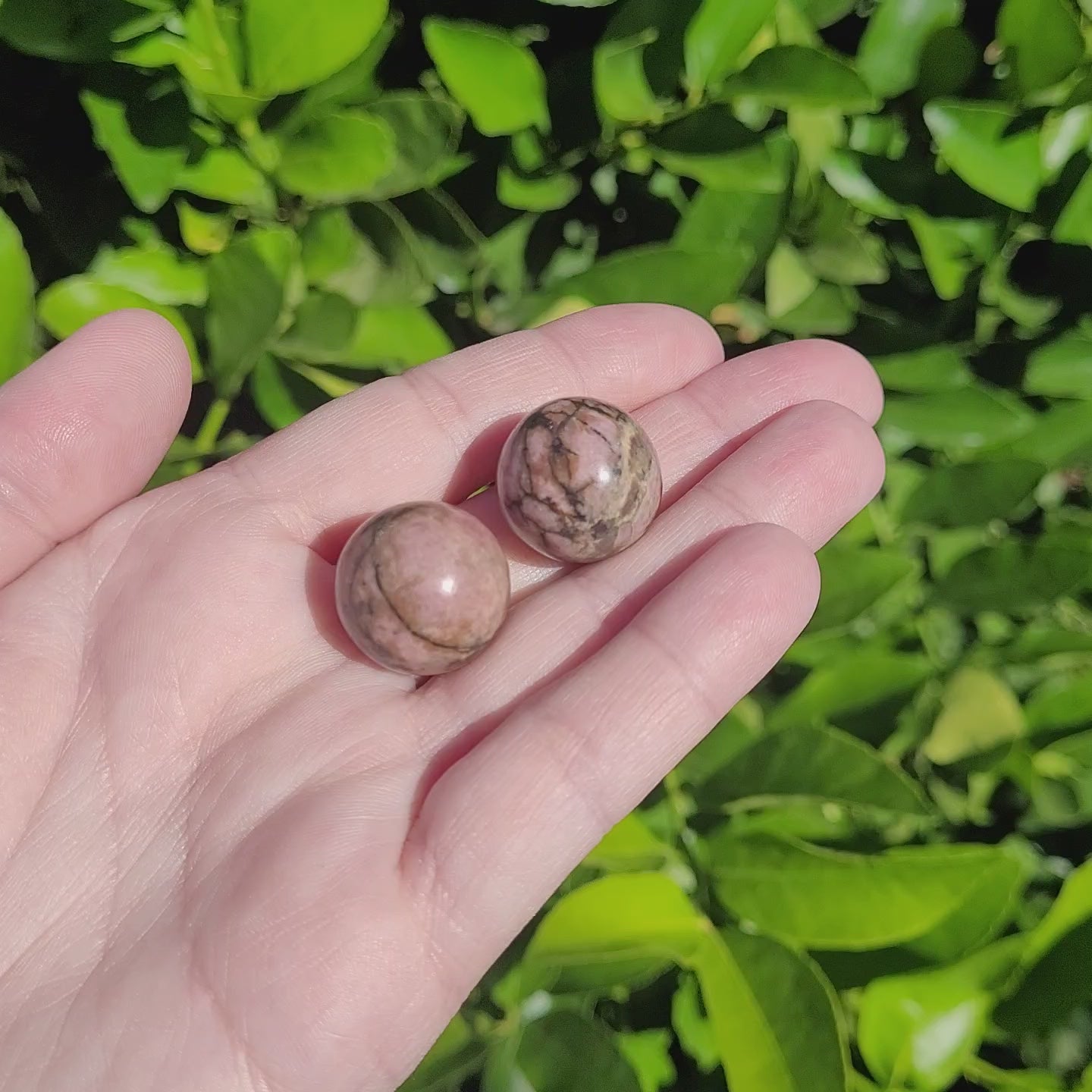 Pink, Orange and Black Rhodonite Mini Crystal Sphere, 8", 20mm