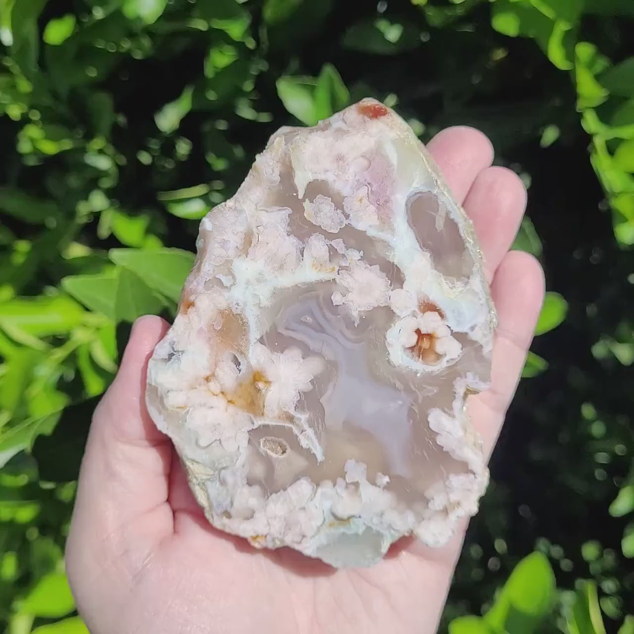 Flower Agate Slab