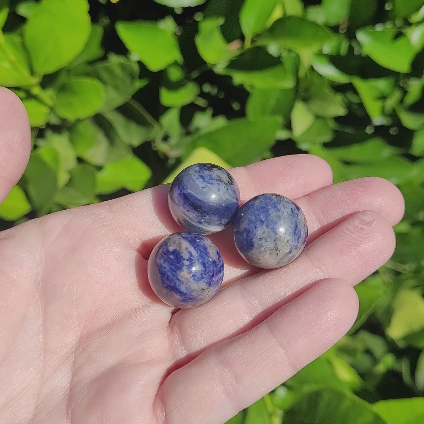 Sodalite Mini Crystal Sphere, .8", 20mm