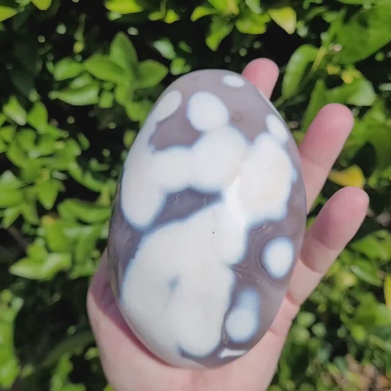 Orca Agate Palm Stone