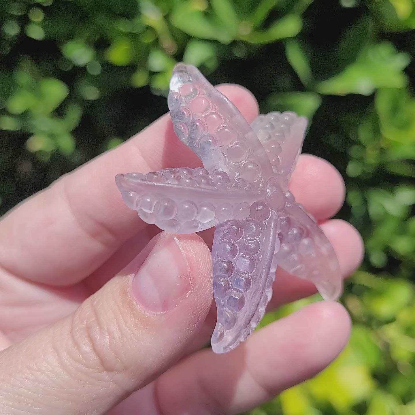 Lavender Fluorite Starfish Crystal