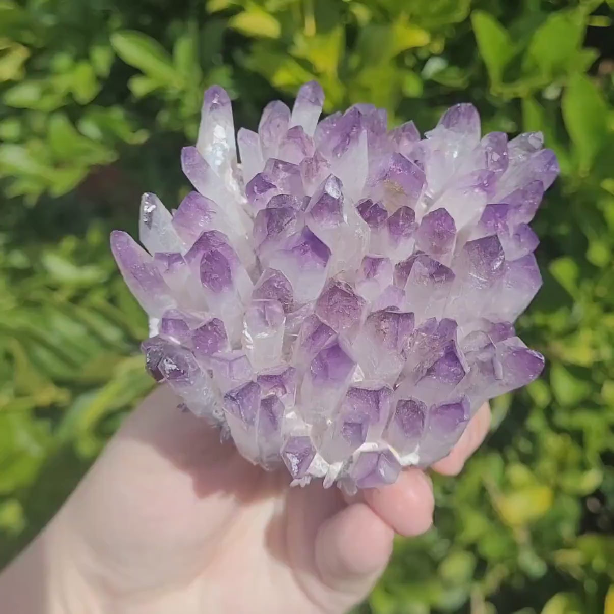 amethyst cluster