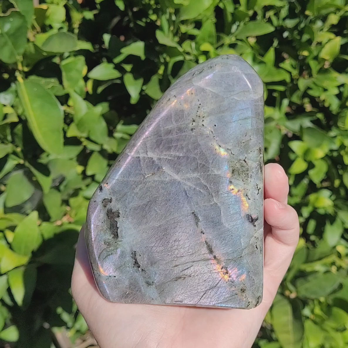 Purple Labradorite Freeform Crystal