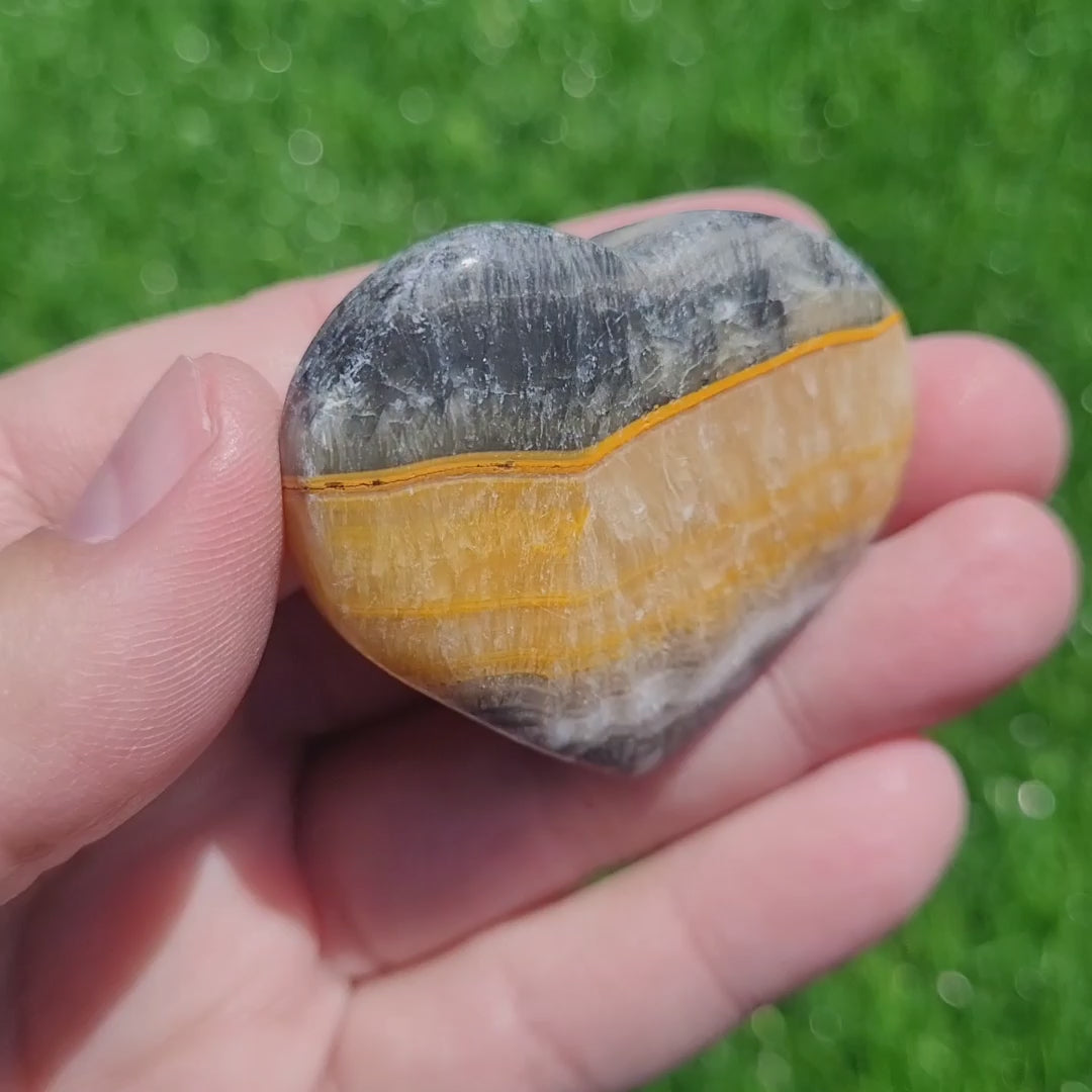 Bumblebee Jasper Heart