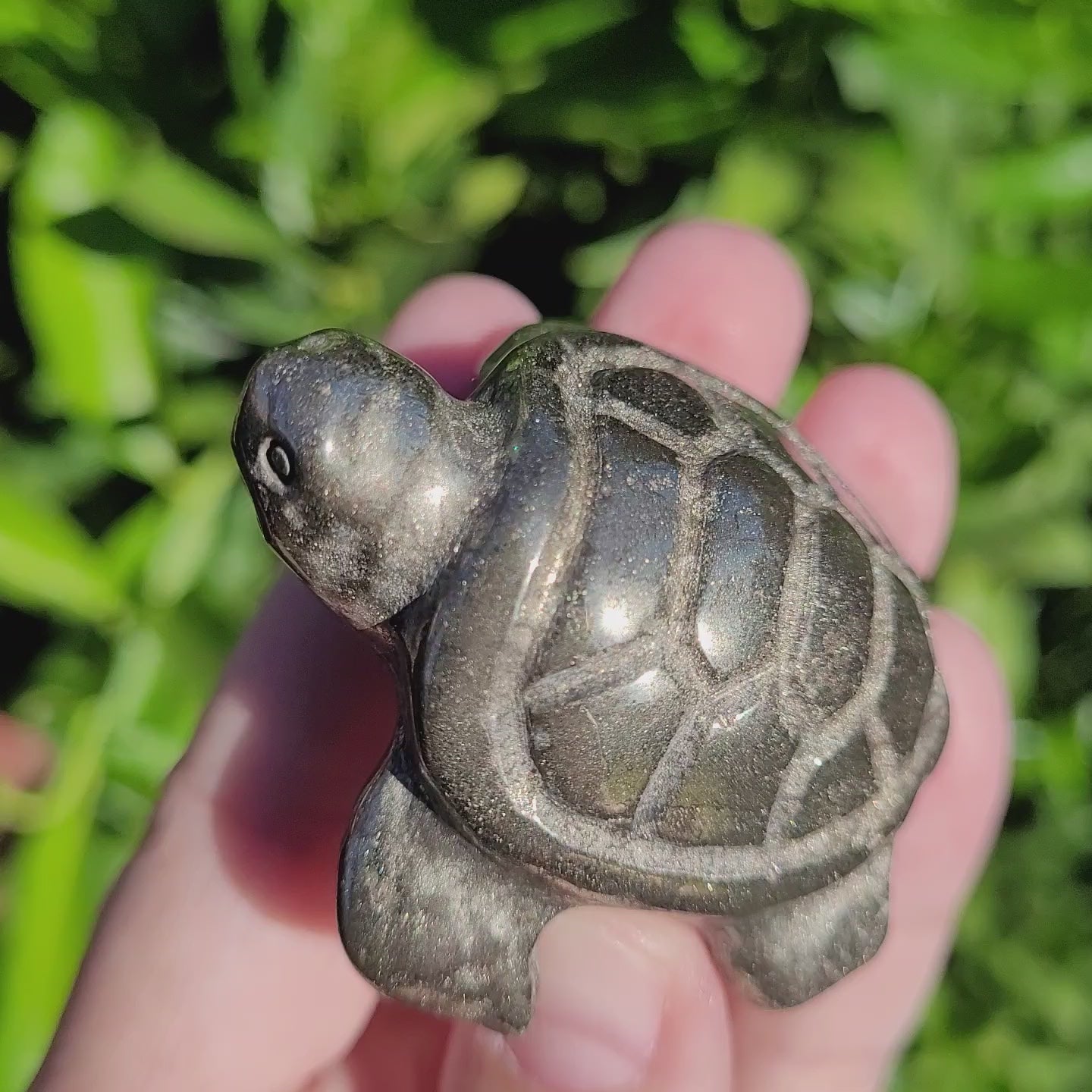  Pyrite Sea Turtle Crystal