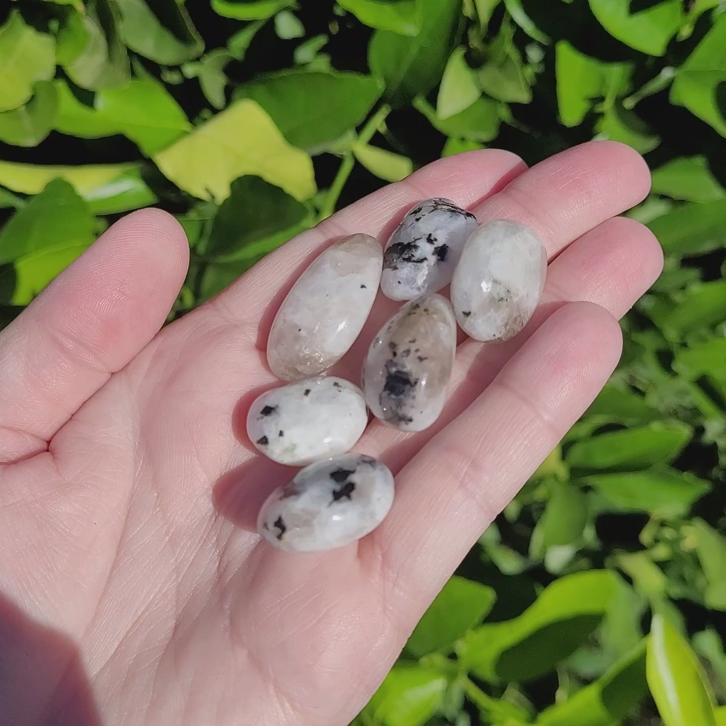 Video of White and Black Moonstone with Blue Flash Crystal Tumble