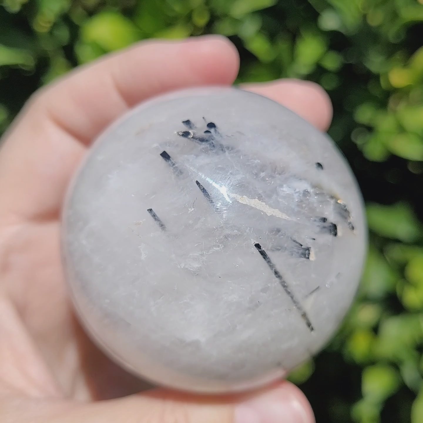 Black Tourmaline in Quartz Sphere