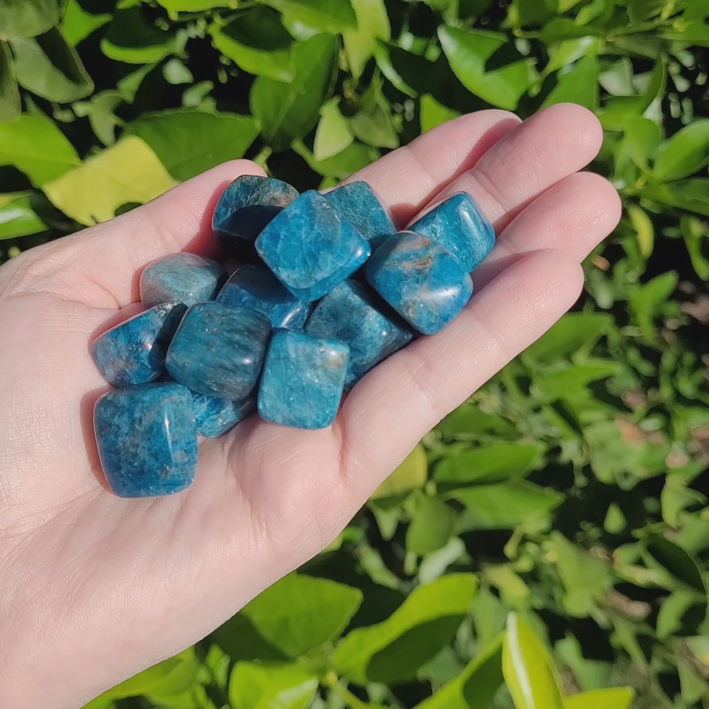 Blue Apatite Tumbled Crystal Cubes