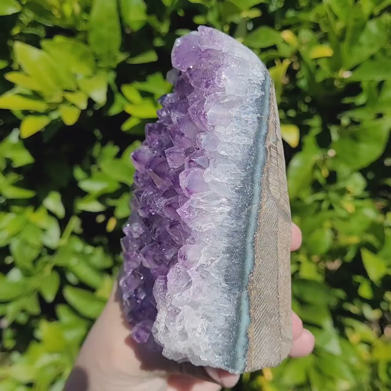 Amethyst Freeform