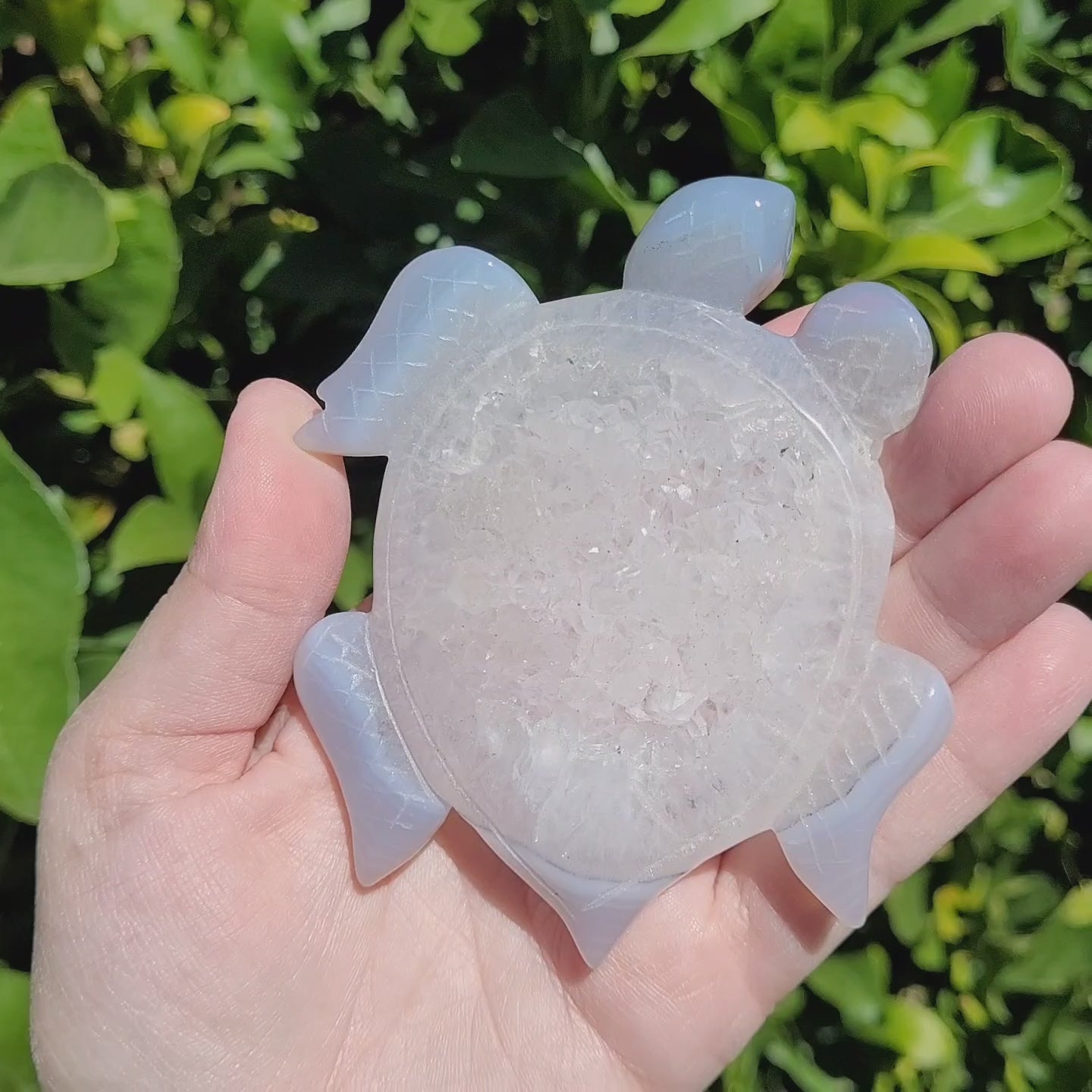 Druzy Agate Crystal Sea Turtle