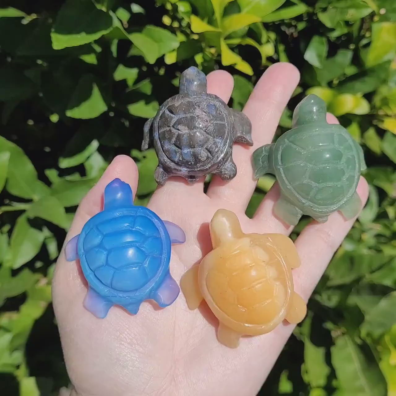 Turtle Crystal