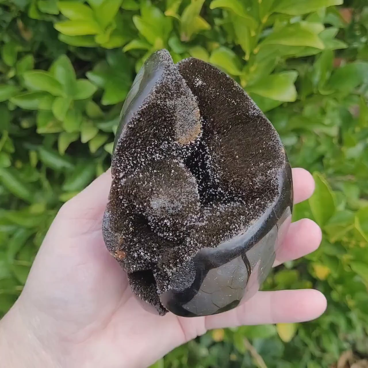 Druzy Black Septarian Freeform